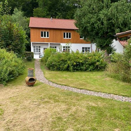 Ferien Langer Grund Mitten Im Wald Bad Pyrmont Exterior foto