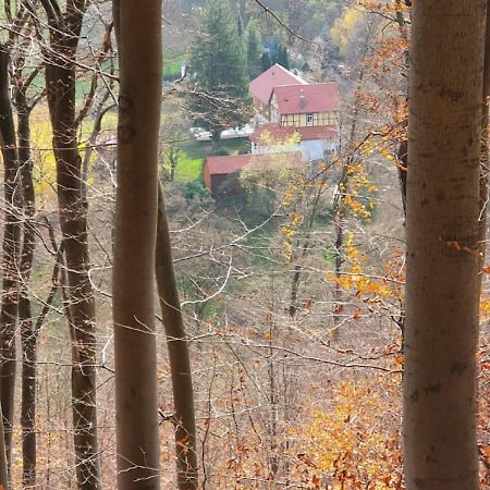 Ferien Langer Grund Mitten Im Wald Bad Pyrmont Exterior foto