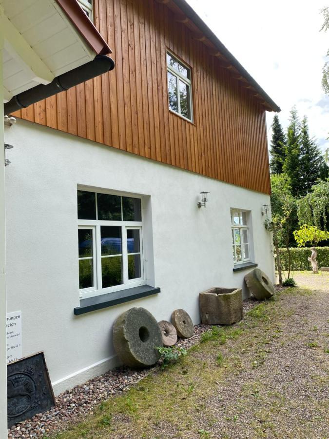 Ferien Langer Grund Mitten Im Wald Bad Pyrmont Exterior foto