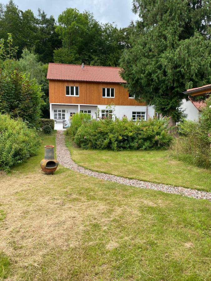 Ferien Langer Grund Mitten Im Wald Bad Pyrmont Exterior foto