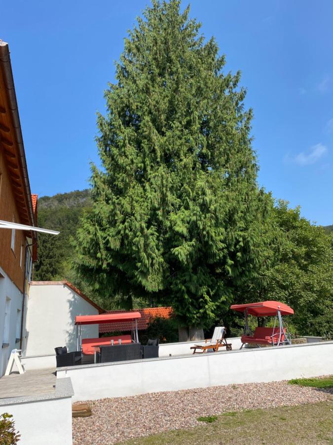 Ferien Langer Grund Mitten Im Wald Bad Pyrmont Exterior foto